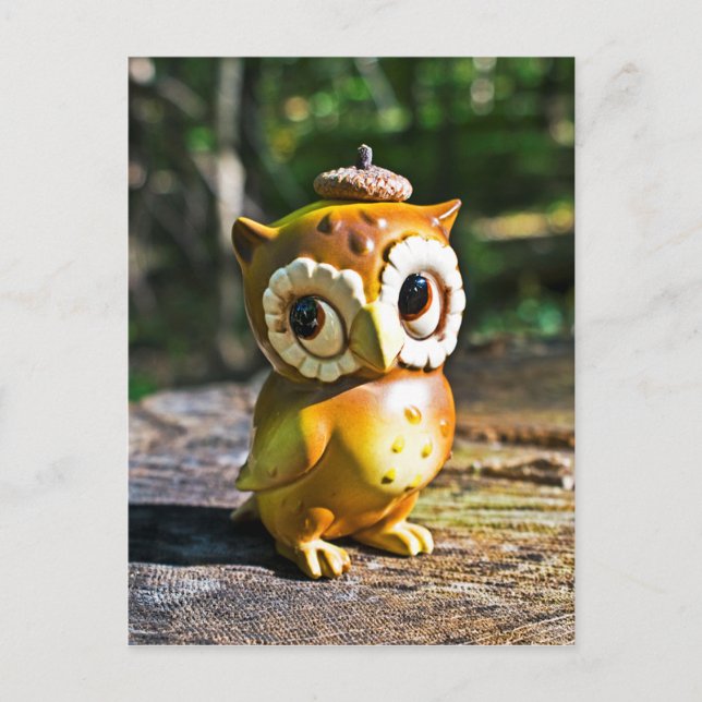 Harvey the Owl III Postcard (Front)