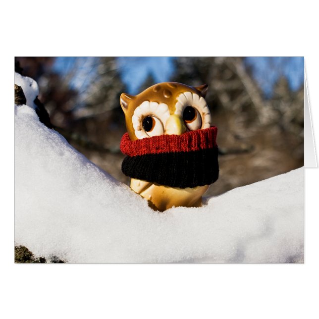 Harvey the Owl IV (Front Horizontal)