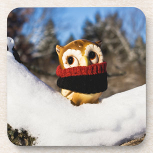 Harvey the Owl IV Coaster