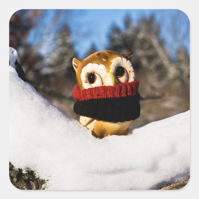 Harvey the Owl IV Square Sticker (Front)