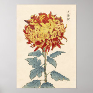 Hasegawa Chrysanthemum Wood Block Print # 121    