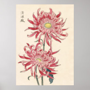 Hasegawa Chrysanthemum Wood Block Print #171 