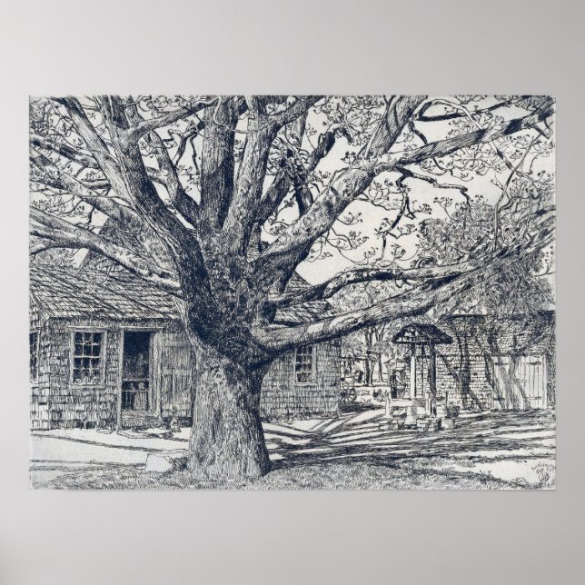 Hassam - Oak And Old House In Spring Poster (Front)