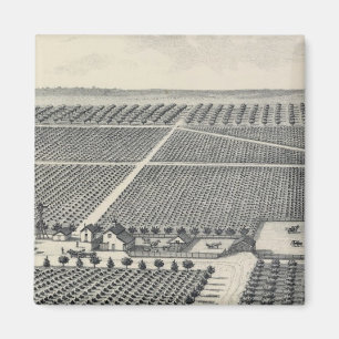 Hastie Vineyard, California Magnet