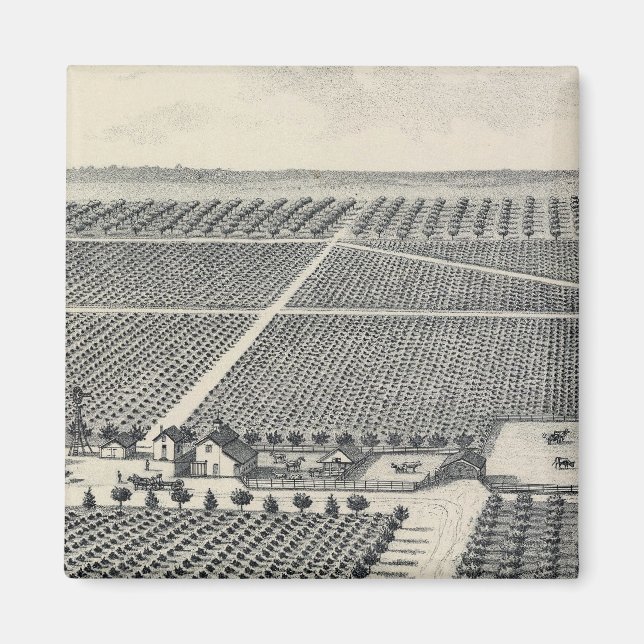 Hastie Vineyard, California Magnet (Front)
