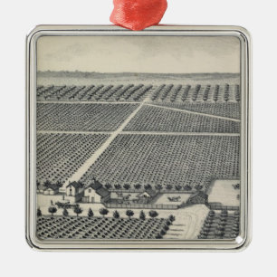 Hastie Vineyard, California Metal Tree Decoration