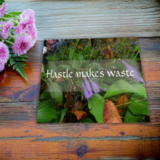 Hastle makes waste wisdom greenery poster