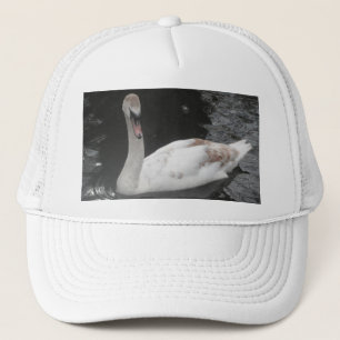 Hat Baby Swan
