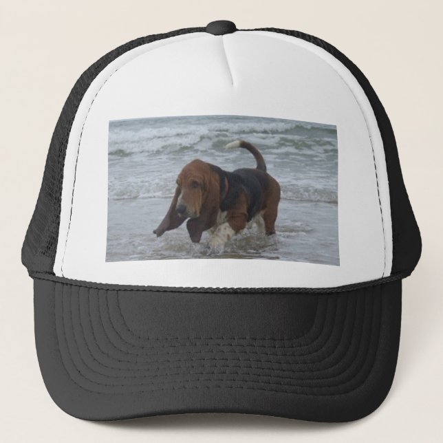 Hat Basset Hound By The Sea (Front)