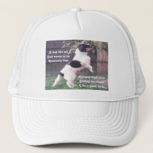 Hat Dog Horse Poem By Ladee Basset