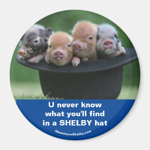 Hat Magnet