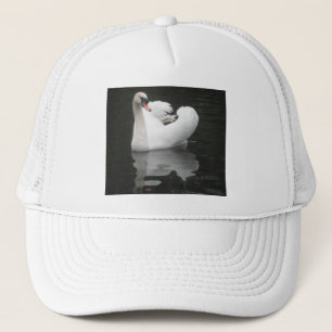 Hat Swan Swimming