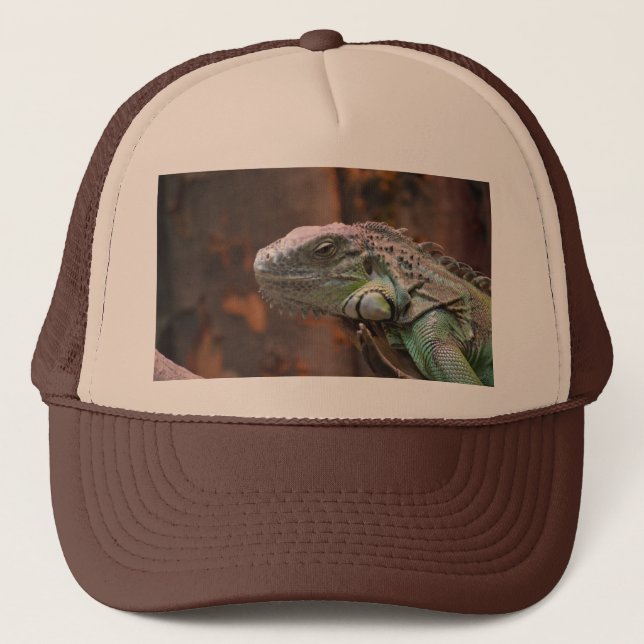 Hat with colourful Iguana lizard (Front)