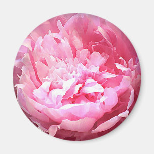 Hatched Pink Peony Magnet
