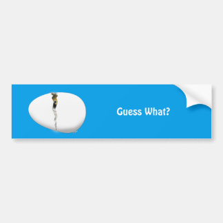 Hatching Egg Bumper Sticker