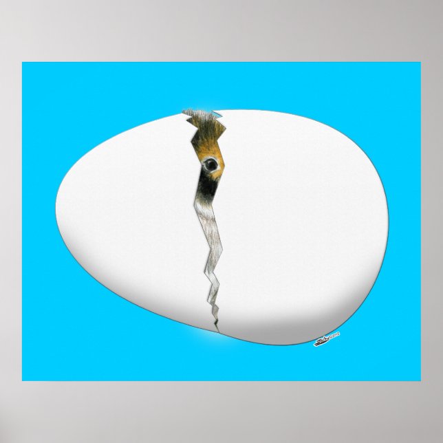 Hatching Egg Poster (Front)