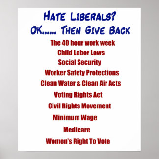 Hate Liberals? Poster
