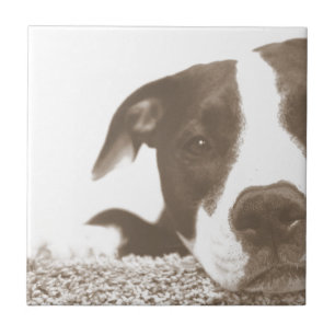 hate the deed not the breed friendly pitbull sepia tile