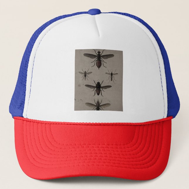 hats (Front)
