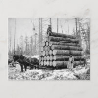 Hauling a Load of Logs, 1908