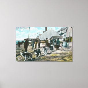 Hauling Water with DogsNome, AK Canvas Print