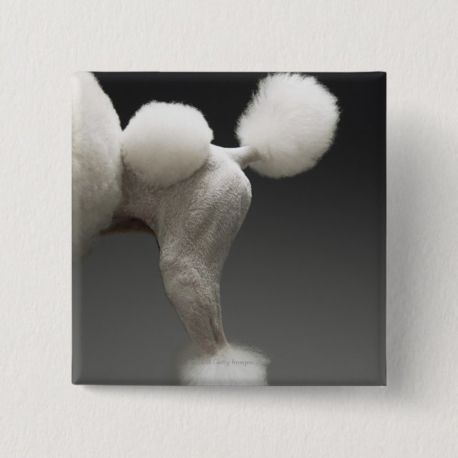 Haunches of Poodle, on grey background 15 Cm Square Badge (Front)