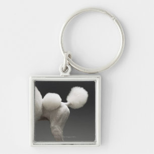Haunches of Poodle, on grey background Key Ring