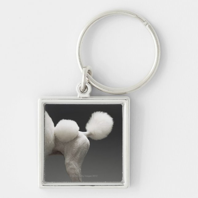 Haunches of Poodle, on grey background Key Ring (Front)