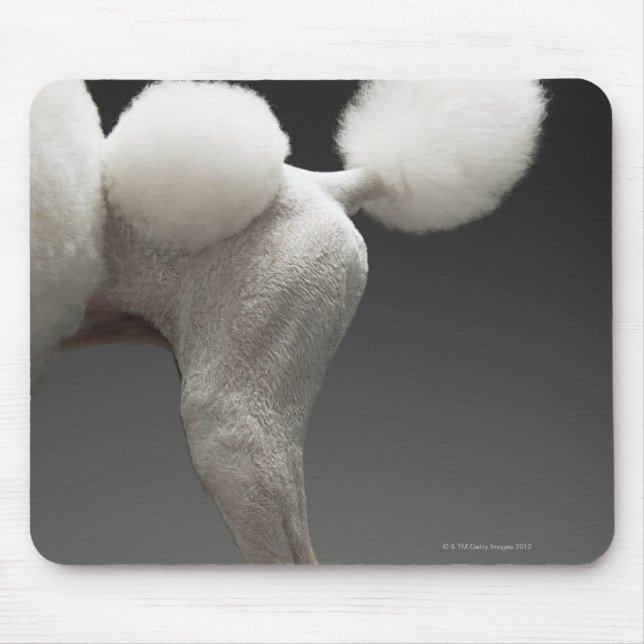 Haunches of Poodle, on grey background Mouse Pad (Front)