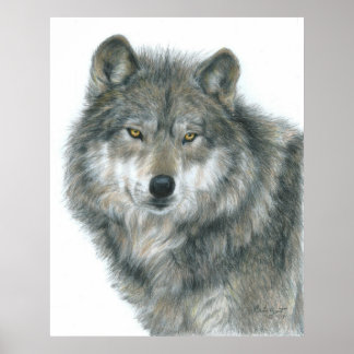 "Haunted Eyes" Wolf Poster by Artist Carla Kurt
