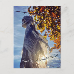 Haunted Halloween Hello Spirit Postcard