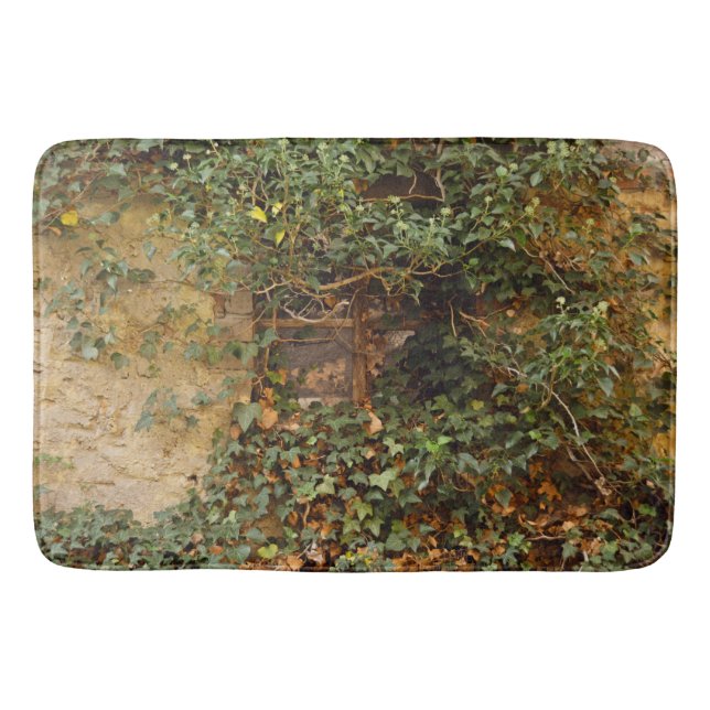 Haunted window      bath mat (Front)