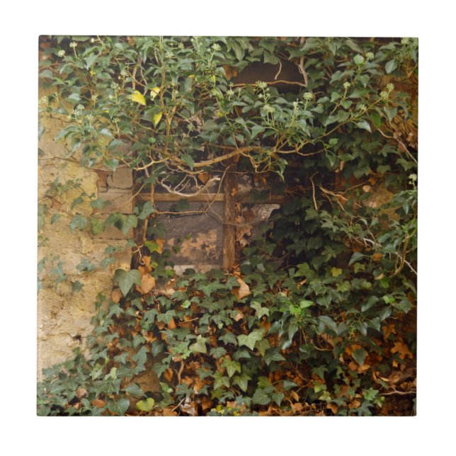 Haunted window   tile (Front)