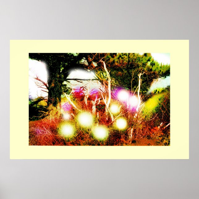 Haunted wood poster (Front)