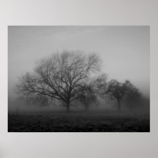 Haunting Fog Canvas Poster