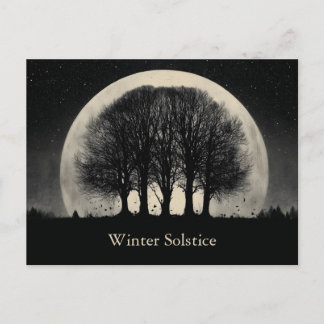 Hauntingly Beautiful Silhouette of Bare Trees Holiday Postcard