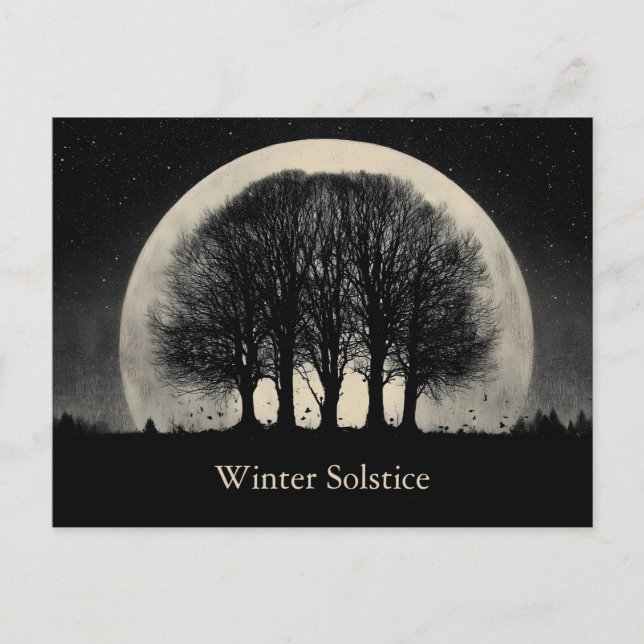 Hauntingly Beautiful Silhouette of Bare Trees Holiday Postcard (Front)