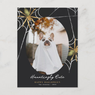 Hauntingly Cute Hallloween Photo Greeting Holiday Postcard