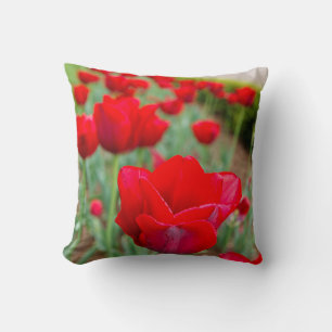 Haupt Bulbs, Close-up Cushion