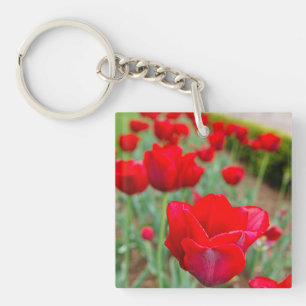 Haupt Bulbs, Close-up Key Ring