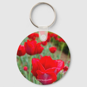 Haupt Bulbs, Close-up Key Ring