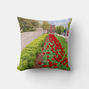 Haupt Bulbs Cushion