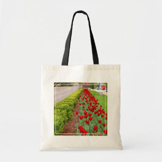 Haupt Bulbs Tote Bag