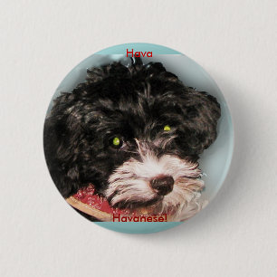 Hava Havanese! 6 Cm Round Badge