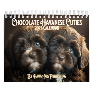 HavaHug's Chocolate Havanese Puppies 2023 Calendar