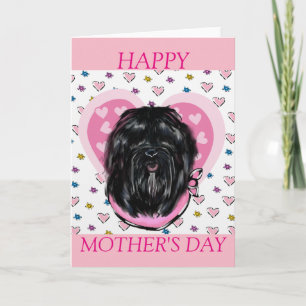 Havana Silk Dog Card