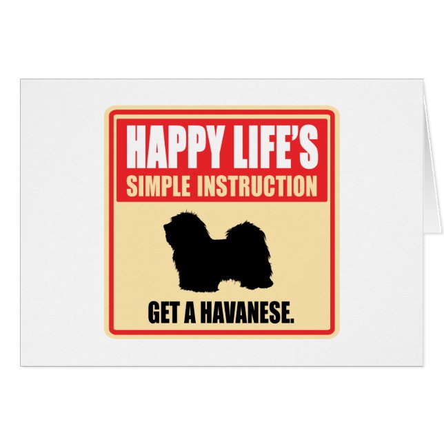 Havanese (Front Horizontal)