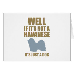 Havanese