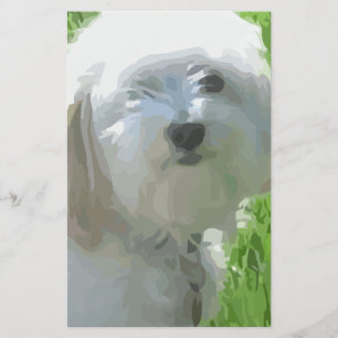 Havanese