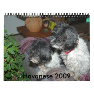 Havanese 2009 calendar